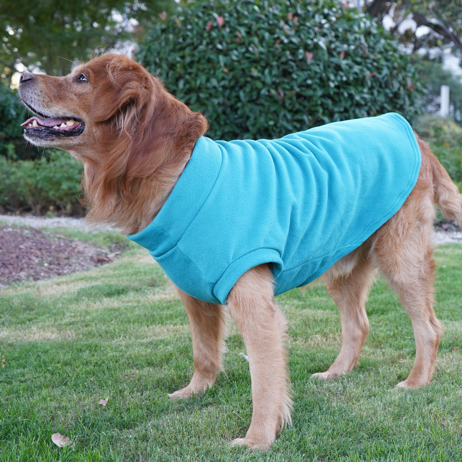 Ropa de Perro Labrador y Golden Retriever para Gran Raza, Vestimenta Caliente para Invierno — imagen 4