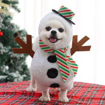 Cuchillo de Halloween transformación divertida para perros pequeños y medianos — imagen 10