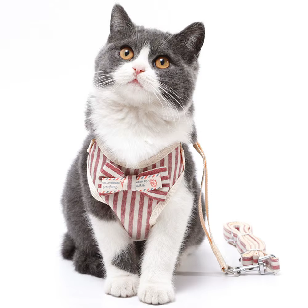 Cute Dog Cat Harness and Leash Set Nylon Mesh Pet Puppy Harness Lead Cat Collar Clothes Vest for Small Cats Kitten Pet Supplies — image 1