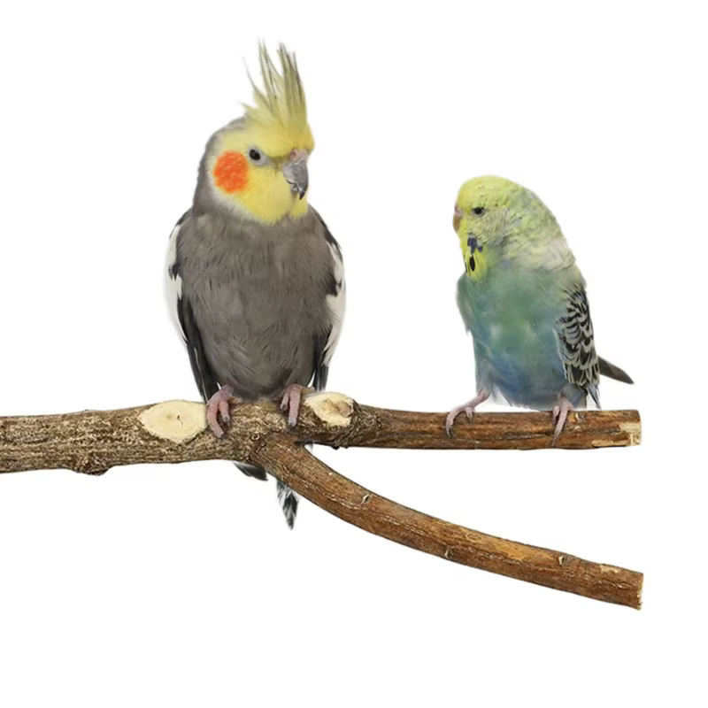 8pcs Parrot Perch Stand Bird Play Gym Parakeet Climbing Exercise Ladder for Birds Wooden Climbing Ladder Swing — image 3