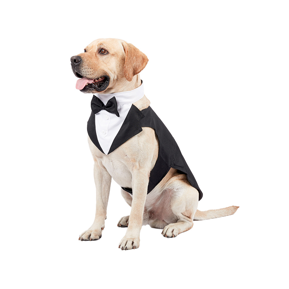 Traje de Novio para Mascotas Grande - Vestido con Corbata y Cuello de Gentleman para Perros Grandes y Pequeños — imagen 2