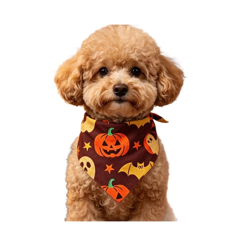 Pet Halloween Skull Spiderweb Dog Bandana Pet Saliva Scarf Supply — image 5