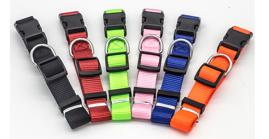 New Pet Collar — image 1