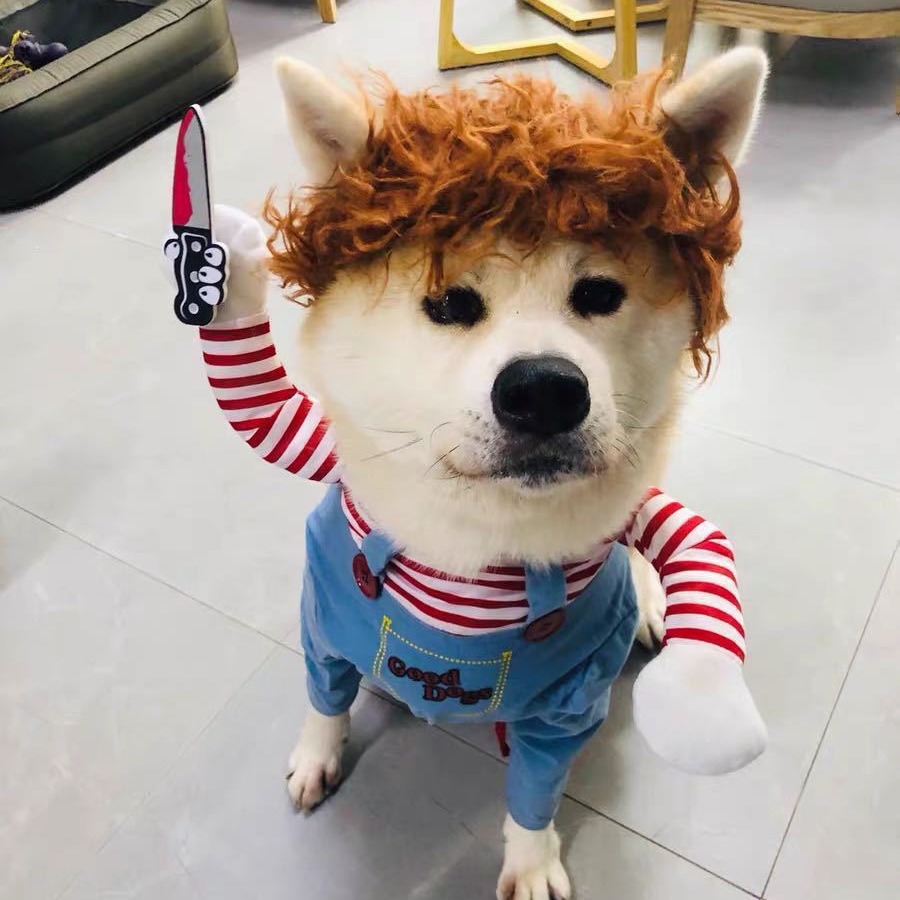 Cuchillo de Halloween transformación divertida para perros pequeños y medianos — imagen 4