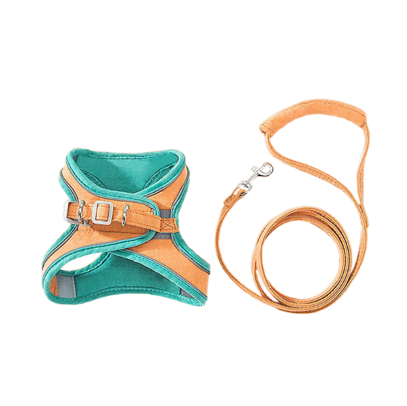 Faja de correa estilo chal universal para gato y cadena para perro — imagen 1