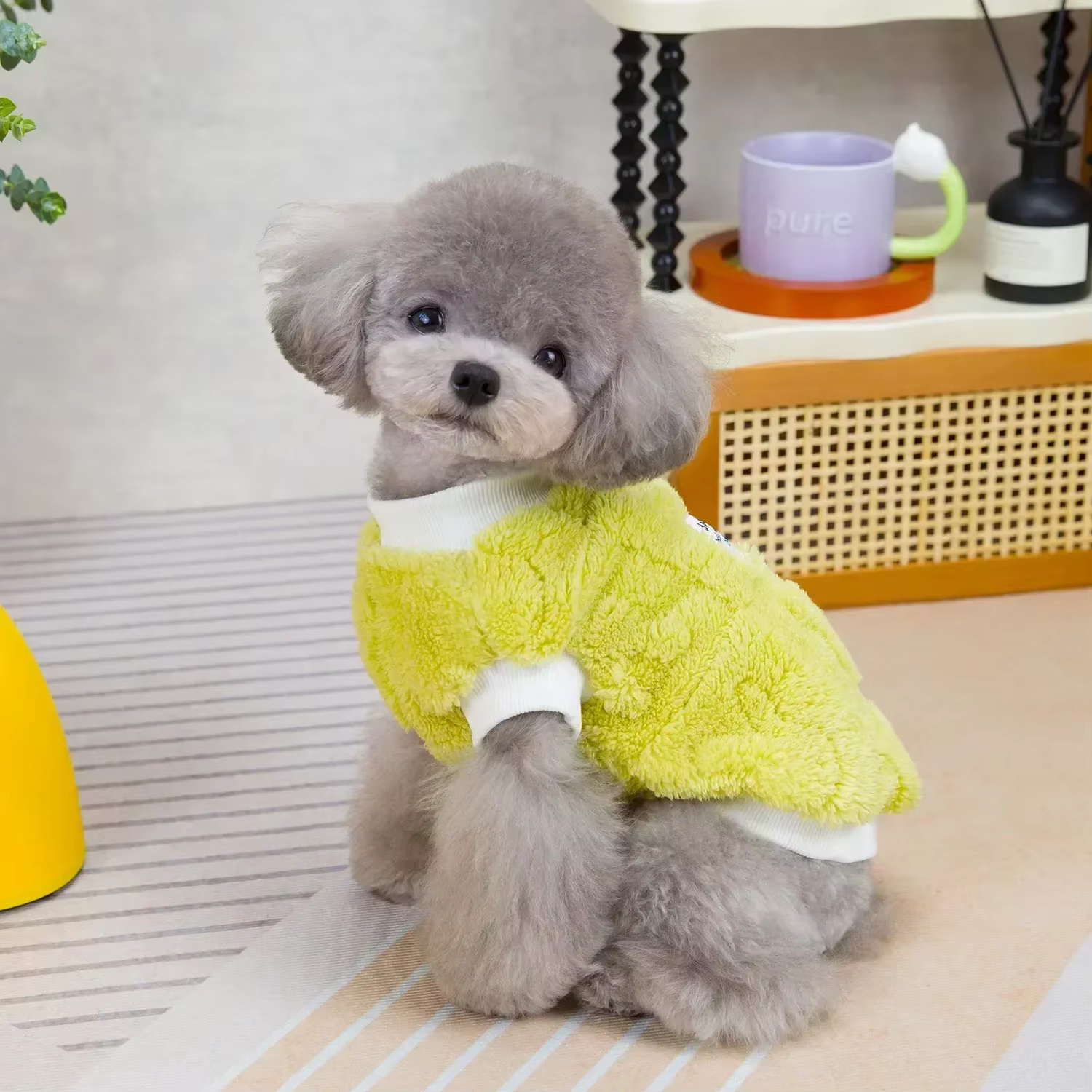 Pet dog clothes pet two-legged fleece pet dog clothing autumn and winter new 24 simple wind two-legged fleece — image 5