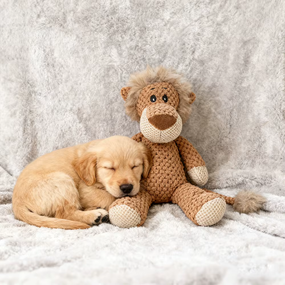 Large Dog Plush Toy Squeak Fleece Durable Chewable Cute Soft Molar Chew for Teething Small Dogs Pet Cartoon Puppy Chew Squeak — image 6