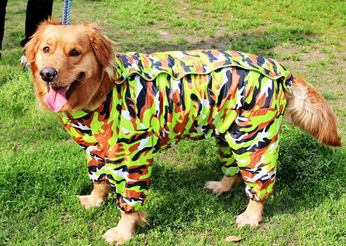 Raincoat Big Dog Golden Retriever Dog Satsuma Border Collie Medium And Large Dogs Full Package Four Feet Pet Waterproof Big Dog Clothes — image 4