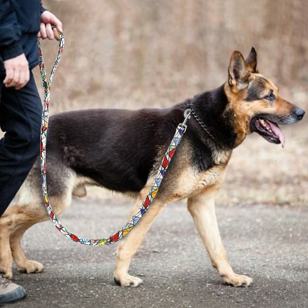 Thick Dog Leash Nylon Rope Printed Dog Cat Leash Pet Leashes Rope Puppy Leads for Outdoor Walking Training Pet Supplies — image 5