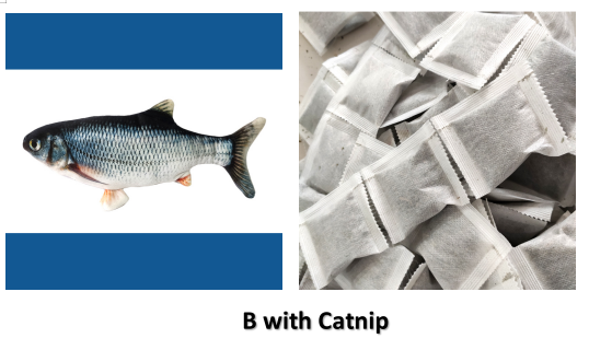 Without Cat Nip Version - Electric Jumping Fish Simulation Electric Fish Toy — image 83