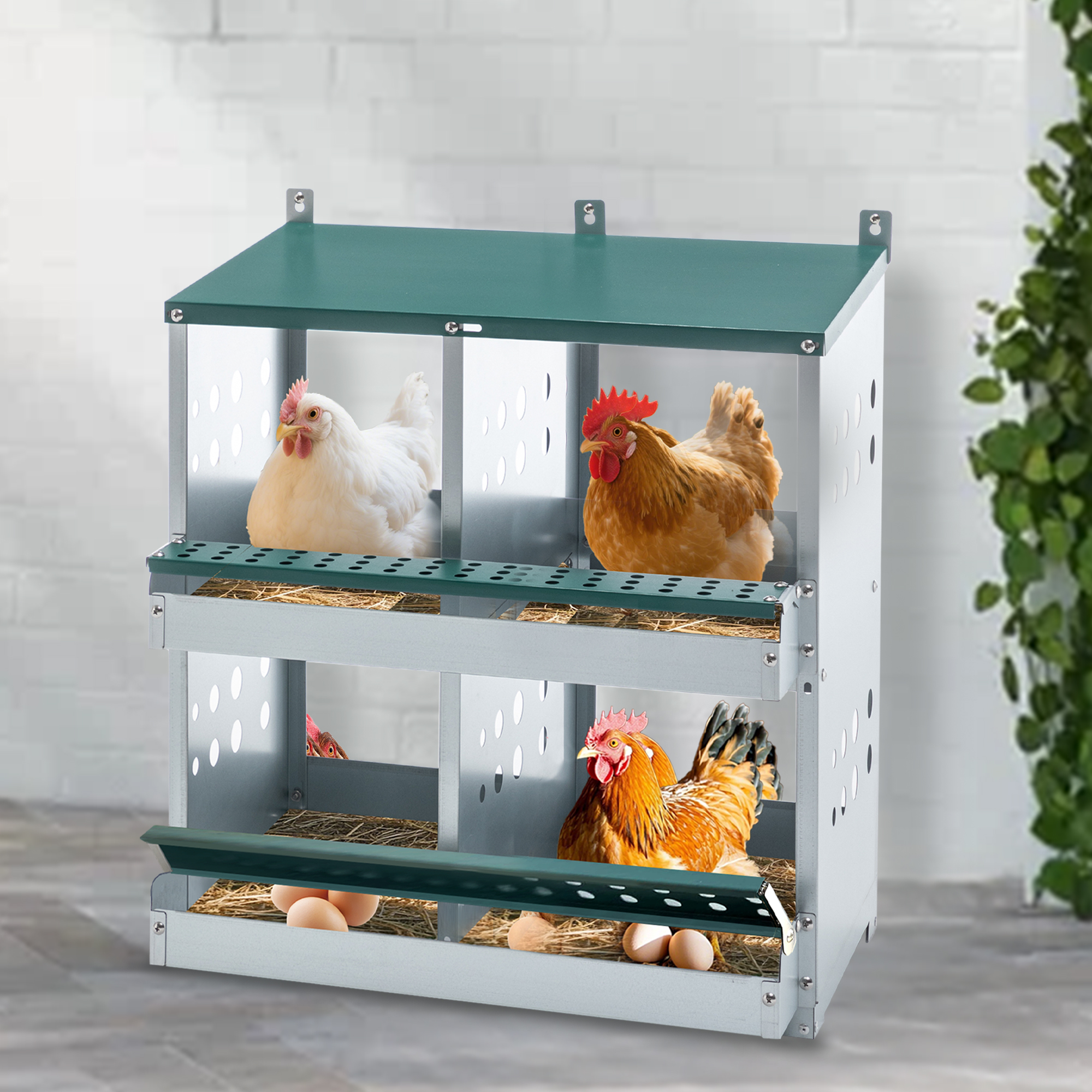 Nidales para Gallinas de 4 Compartimentos, Nidales Metálicos para Montaje en Pared, Caja Ponedora de Huevos para Diferentes Razas de Gallinas — imagen 6