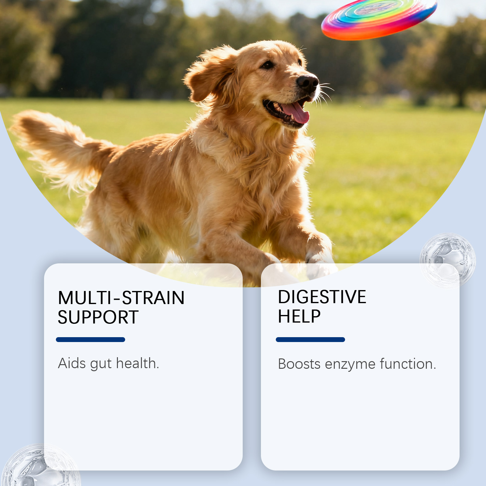 Probióticos para perros en forma de granulados suaves — imagen 3