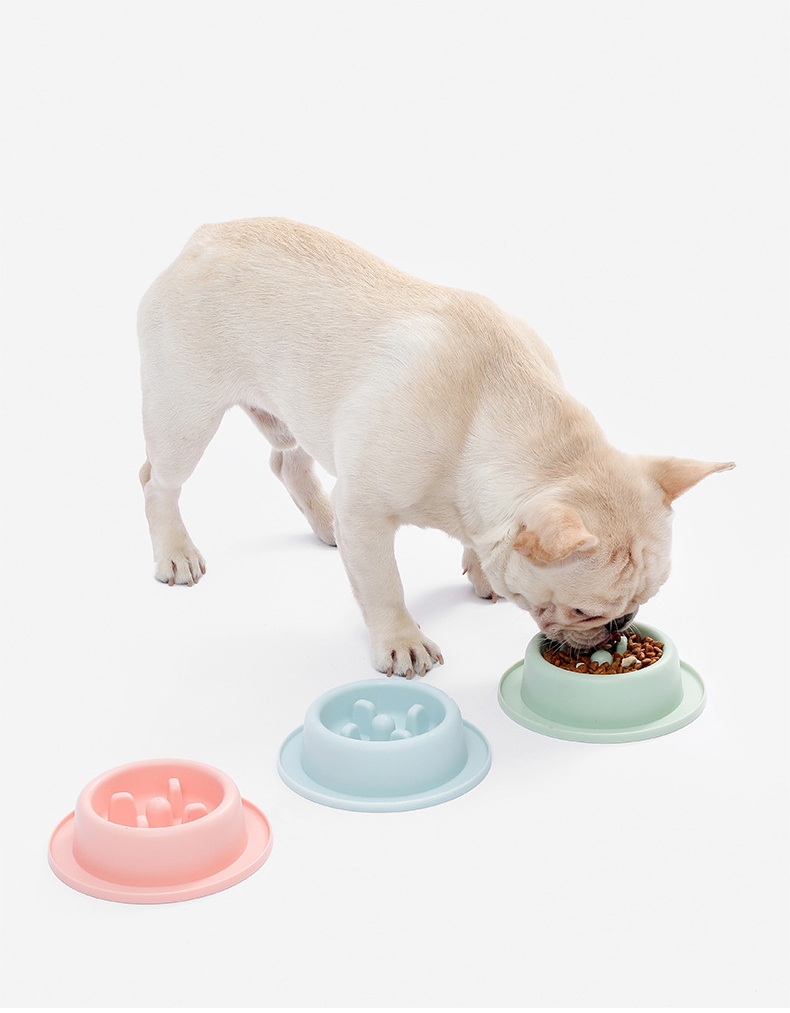 Cat and Dog Shared Pet Slow Food Slow Food Bowl — image 2