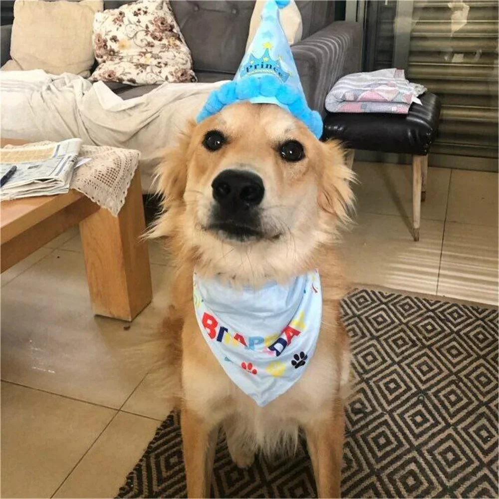 2 Piezas/Set de Sombrero y Babero para Perro, Bandana de Cumpleaños Ajustable, Pañuelo para el Cuello, Sombrero y Babero de Cumpleaños para Gatos y Perros, Accesorios para Mascotas — imagen 2