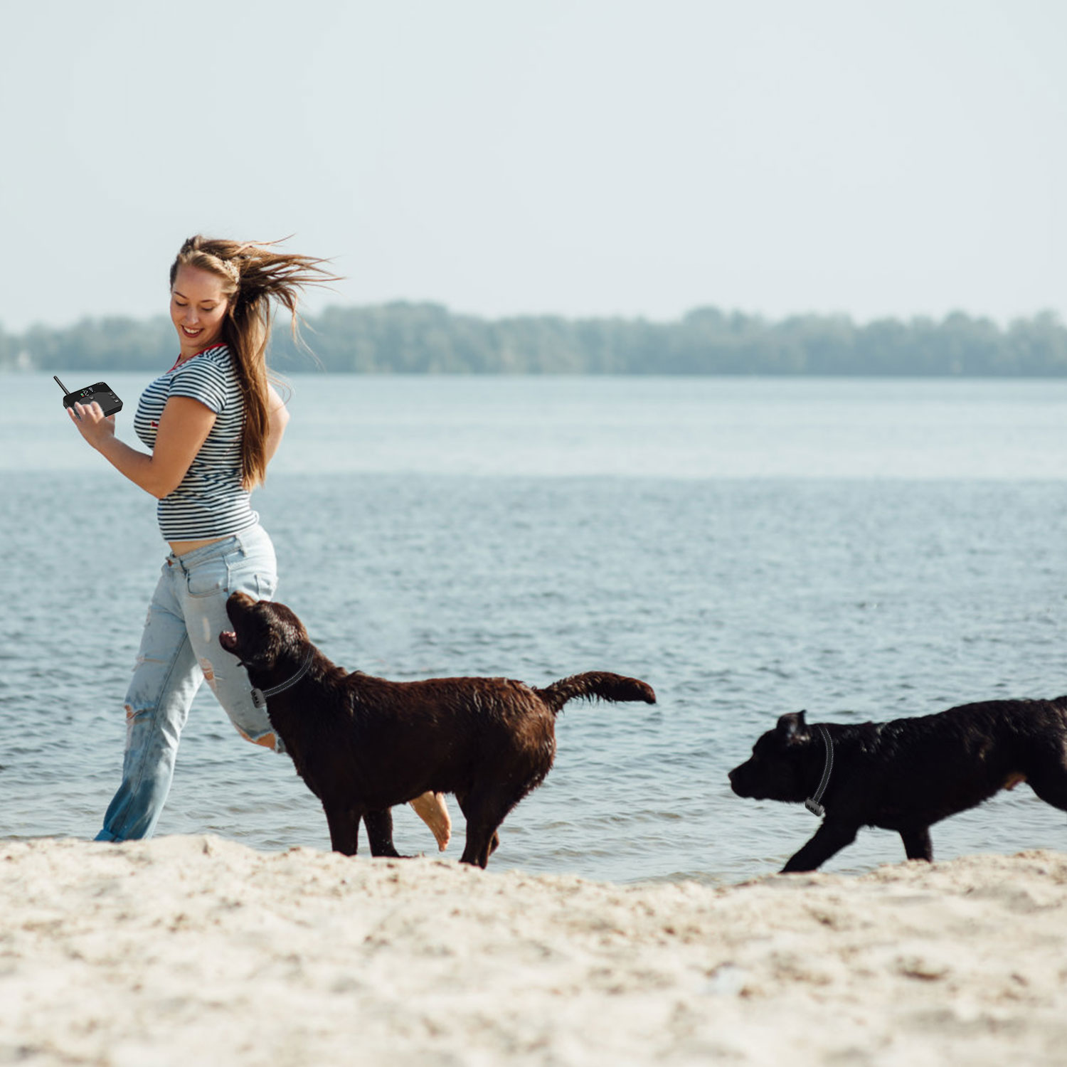 Cerca Eléctrica Inalámbrica para Perros 2 en 1 a Prueba de Agua, Sistema de Contención con Descarga para Mascotas, Collar de Entrenamiento Eléctrico con 2 Collares Receptores Para Perros Pequeños, Medianos y Grandes — imagen 10
