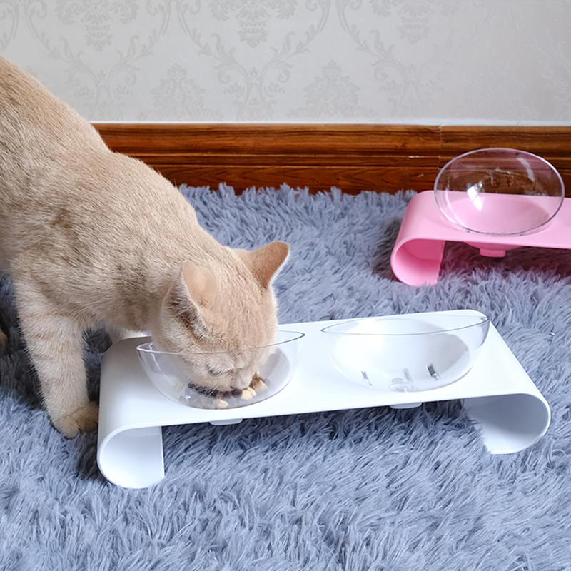 Tazas para Gatos — imagen 3