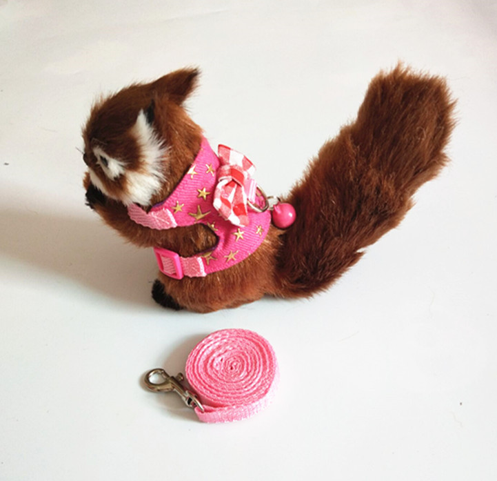 Set de arnés y correa para pequeños animales - Hamster, conejo, erizo, etc. — imagen 2