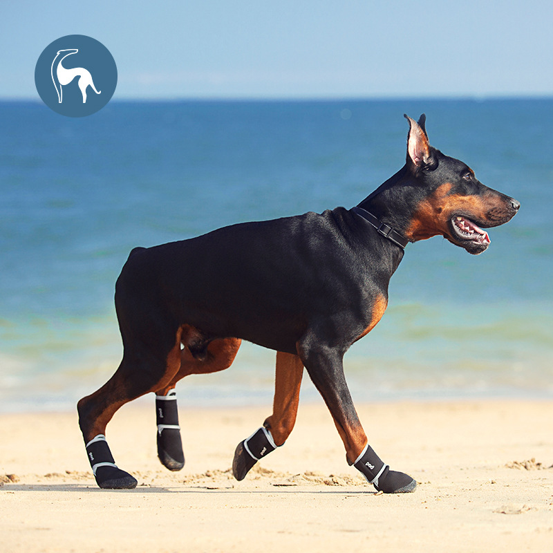 Zapatillas deportivas para mascotas - Botas impermeables al aire libre con tirantes anti-deslizamiento y reflejos — imagen 2