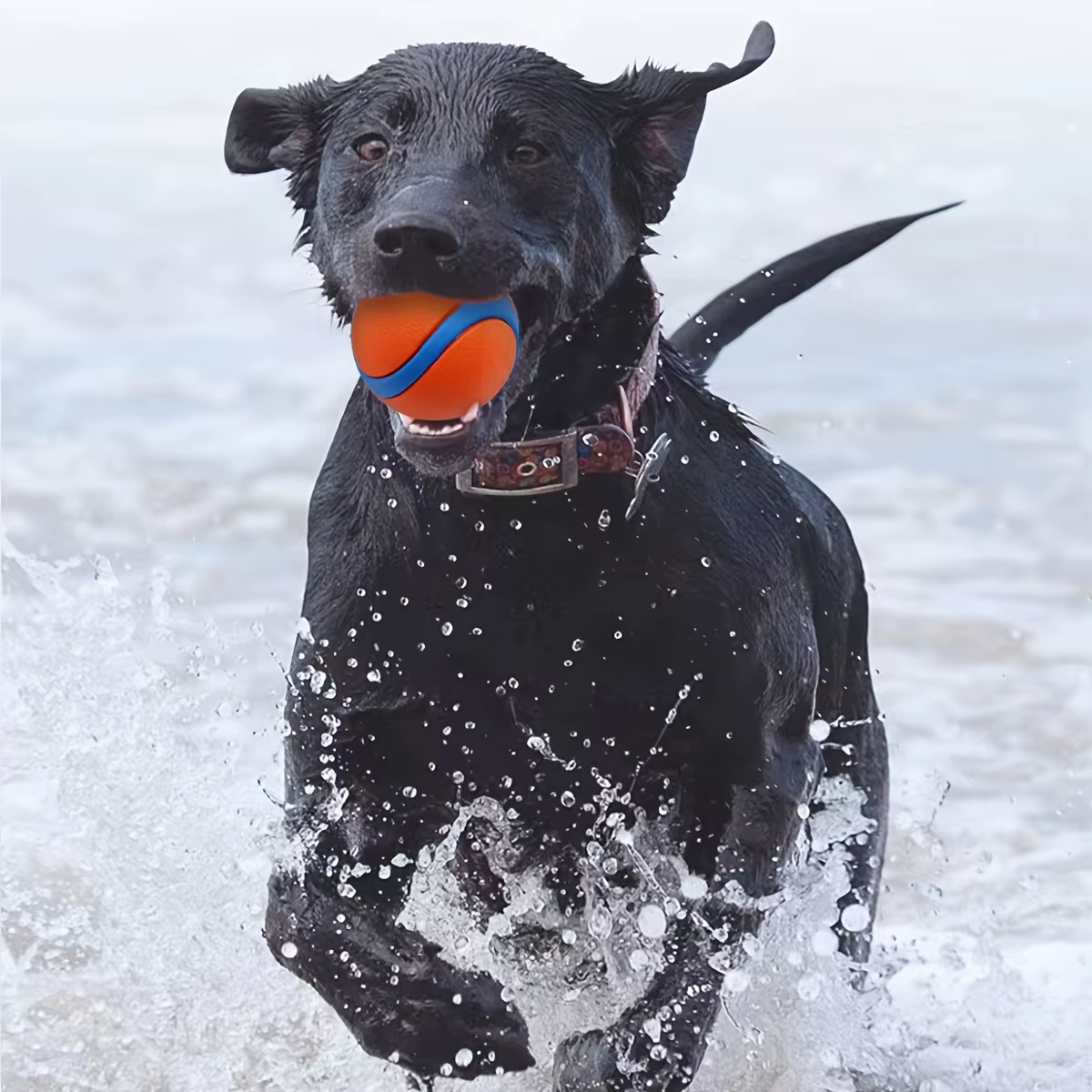 Pelota de Mordisqueo Resistentente en Silicón para Perros - Juguetes Interactivos para Razas Medianas con Limpieza Dental y Diversión — imagen 4