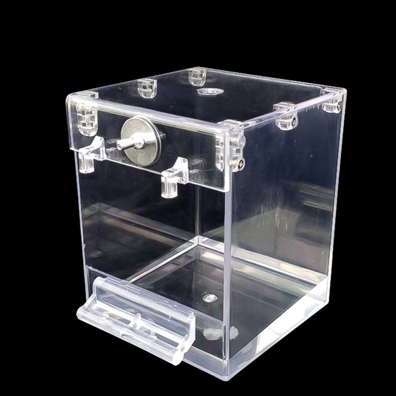Baño Externo para Pájaros Transparente, Tazón Cuadrado de Acetato Seguro — imagen 3