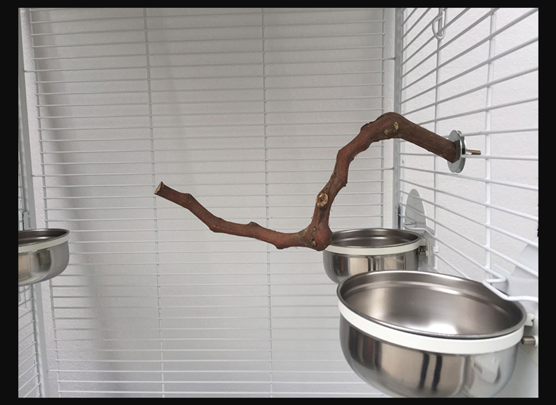 Percha Adicional para Jaula de Loros y Aves — imagen 7