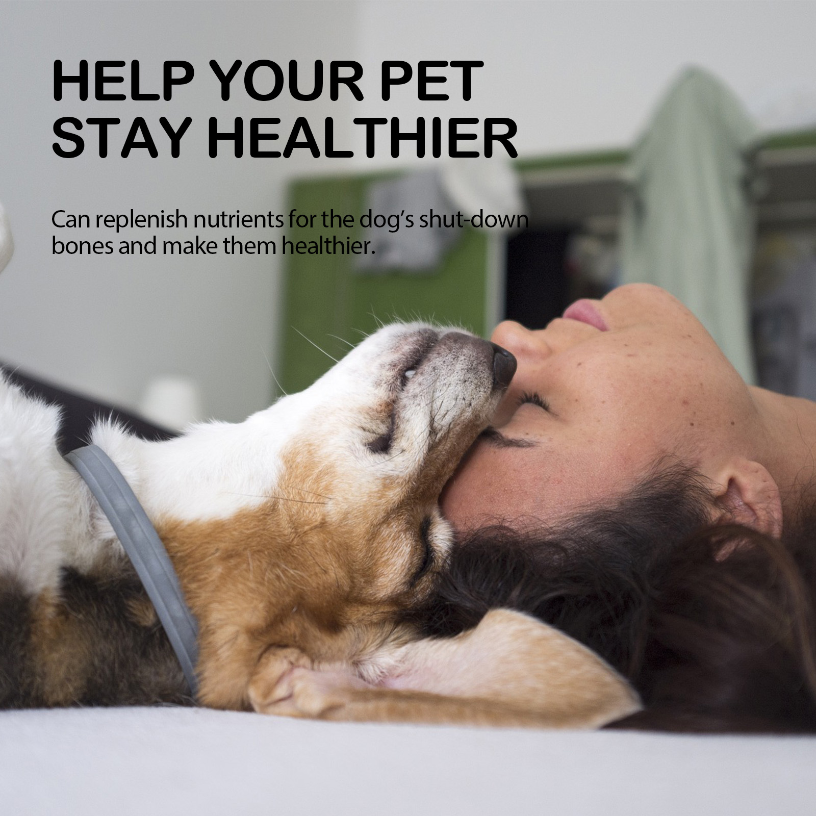 Aceite de Cuidado Canino con Menta de Limón y Ácidos Grasos Omega para Alivio Articular y Muscular en Perros — imagen 3