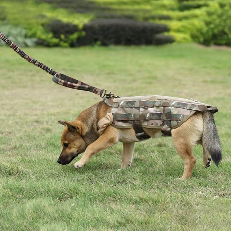 Tactical Dog Rope Training Dog Leash Traction Rope Dog Universal Leash Hunting Outdoor tactical dog leash — image 3