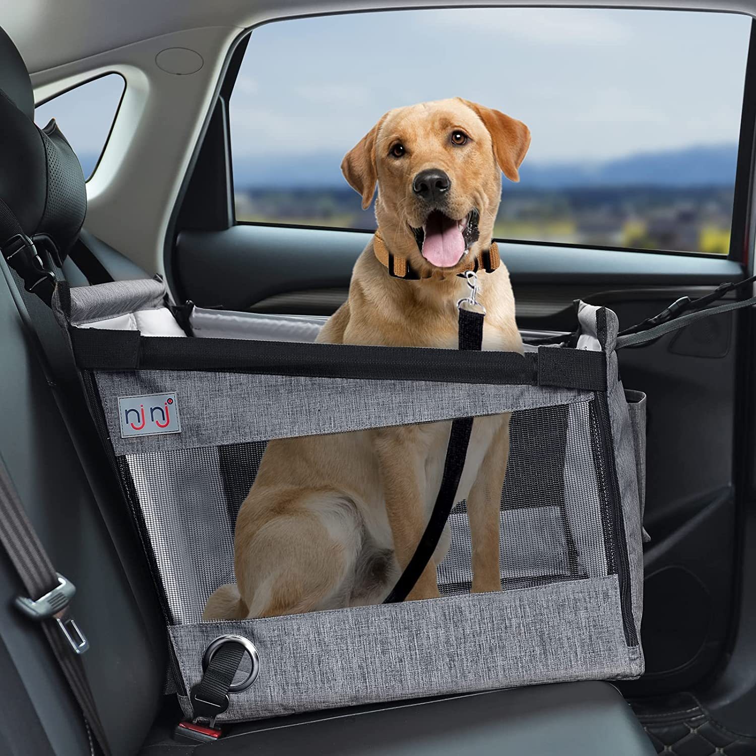 Caja de Transporte para Mascotas de Auto - Carrocería Rígida y Resistente al Lodo — imagen 6