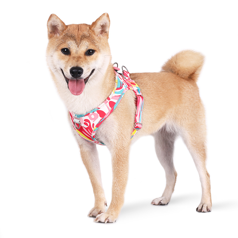 Printed Pet Chest Strap Anti-Breakaway Dog Leash Small And Medium-Sized Dogs Traction Rope — image 2