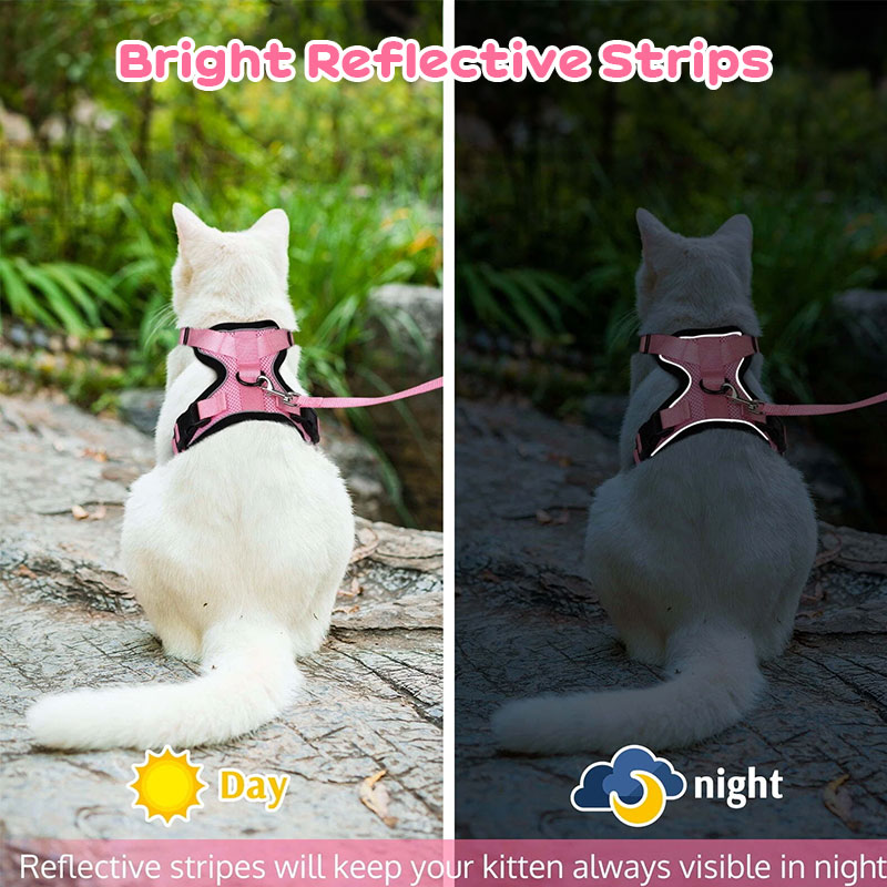 Arnes y Correa para Gatos con Control Fácil, Inescapable - Arnes de Vestido Suaves y Ajustables para Pasear a los Gatos — imagen 16