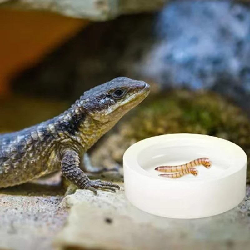 Comida para Reptiles Plato Cerámico Anti-Evasión para Cangrejos de Tierra, Geckos Leopardo, Camaleones, Serpientes de Corn y más Y5GB — imagen 3