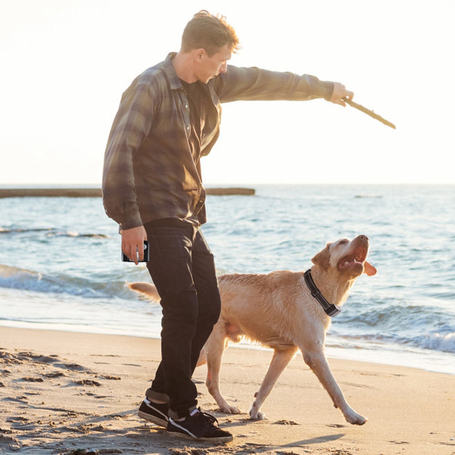 1 Juego de Cerca Inalámbrica para Perros con Alcance de 990FT, Collar de Entrenamiento con Control Remoto, Receptor Impermeable IPX6 con Niveles 0-9 de Sonido, Vibración y Descarga, Sistema Transmisor Recargable de 4 Canales — imagen 11