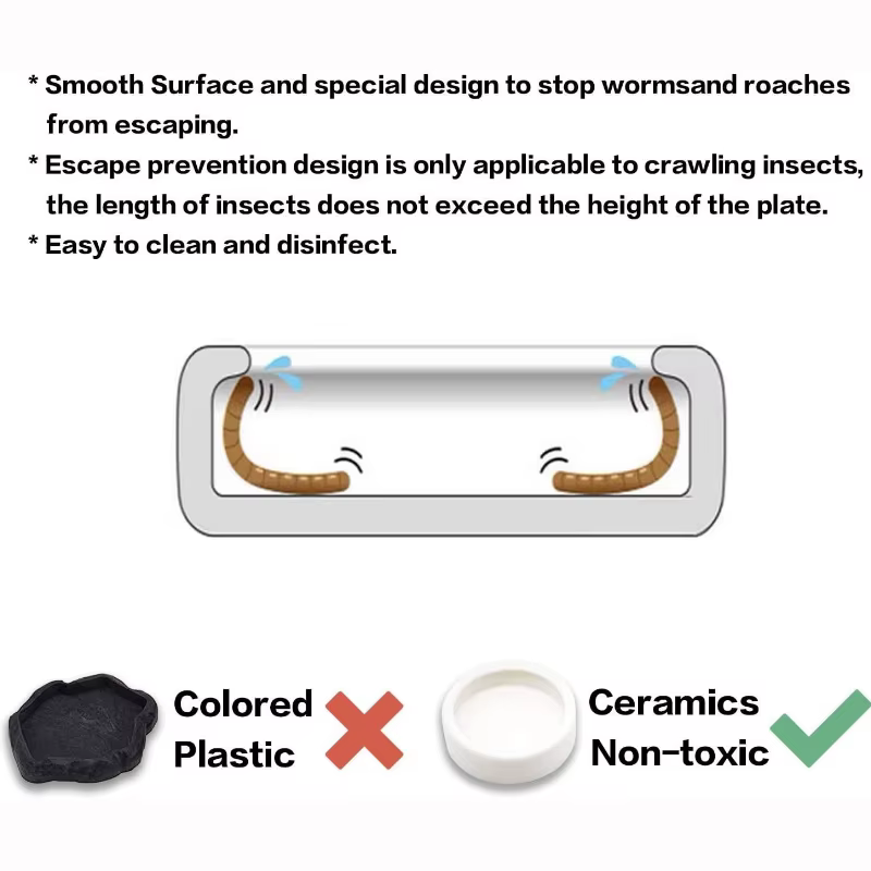 Reptile Water Food Bowl Anti-Escape Ceramic Feeder Dish for Lizard Hermit Gecko Chameleon Corn Snake Bearded Dragon Accessories — image 4