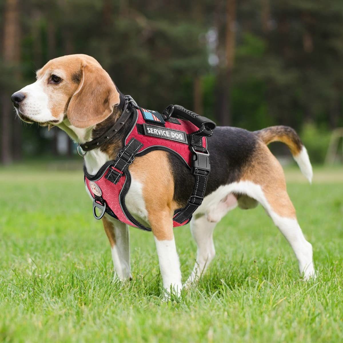 New Fashion Explosion-Proof Shock Absorption Comfortable Night Vision Reflective Pet Chest Strap Undershirt Traction Chest Strap Leash — image 2