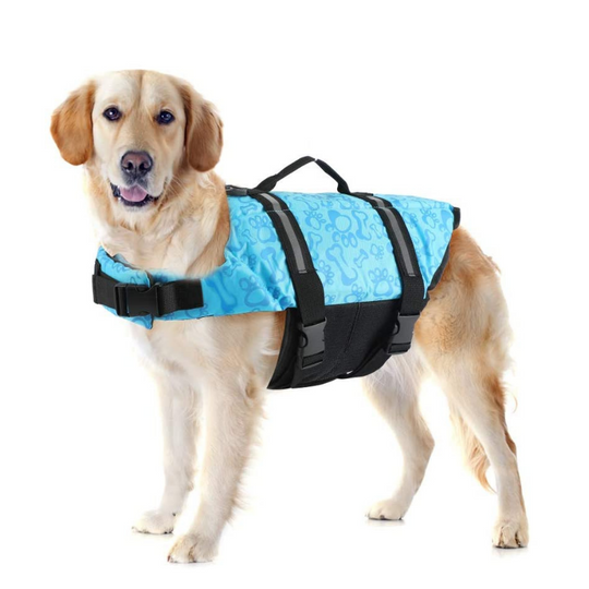 Producto de Desarrollo para Patas — imagen 3