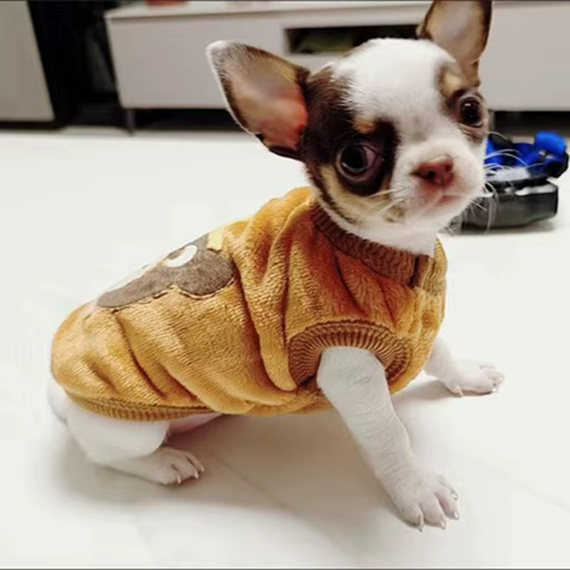 Chaquetas de invierno para perros pequeños: Sweater de taza de té con diseño divertido para cachorros y mascotas — imagen 3