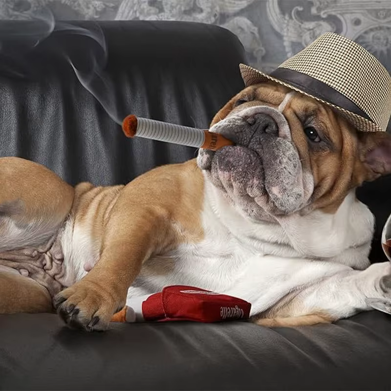 Dog Toy Funny Interactive Plush Dog Toys Creatives Cigarette Design Giggling Chewing Toys For Dog The Perfect Pet Gift — image 3
