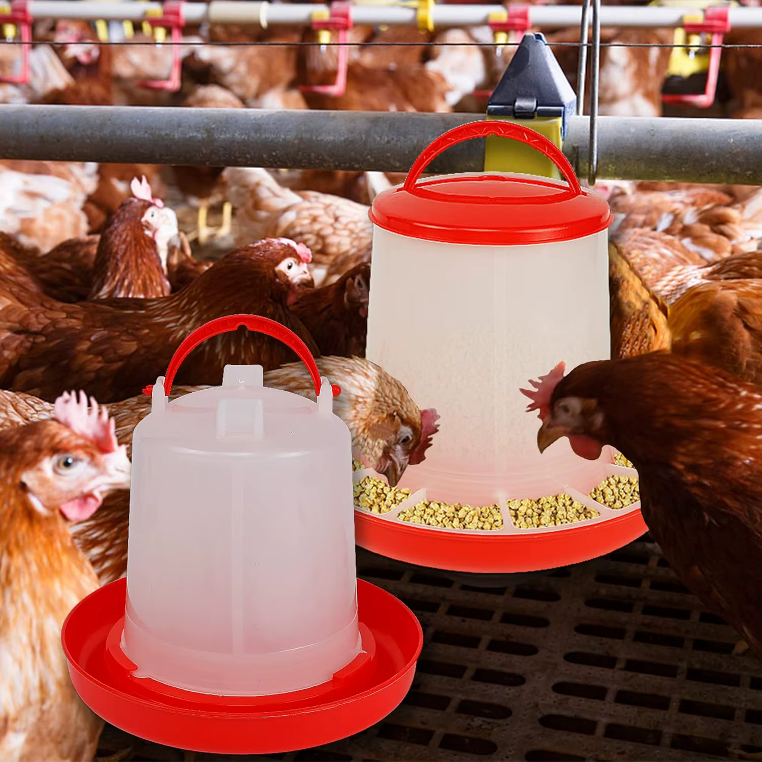 Alimentador y Bebedero de Pollo +3L Dispensador Automático de Agua y Alimento, Cubeta de Alimento y Agua para Pollos — imagen 6