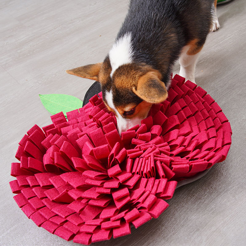 Juguetes de entrenamiento para perros - Manta de olor para caninos con texturas variadas — imagen 4