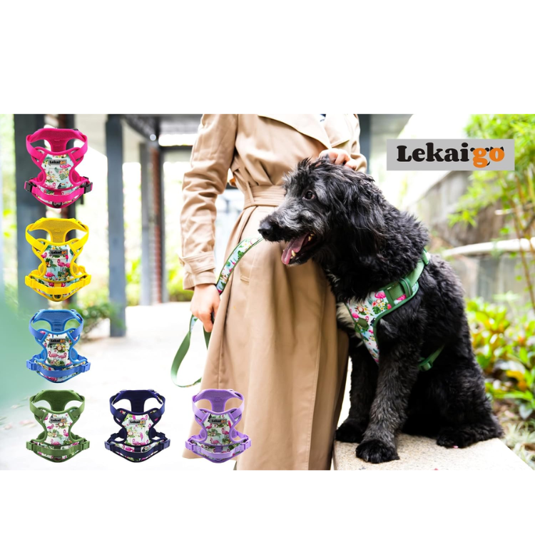 Dog Harness Collar 5ft Leash Poop Bag Holder Set, Reflective Adjustable No-Pull Dog Vest Harness With Safety Lock Easy Control Handle, For Small Medium Large Dogs 4pcs-M-Navy — image 5
