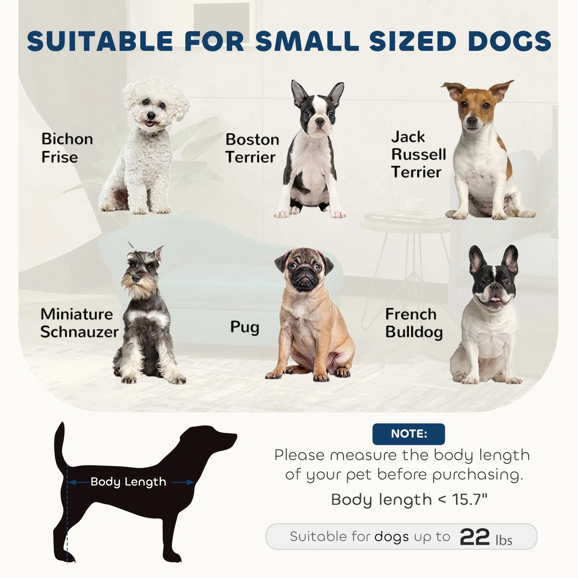 Silla de Descanso para Mascotas con Almacenamiento - Sofá Comodo para Gatos y Perros Pequeños con Espacio Oculto — imagen 4
