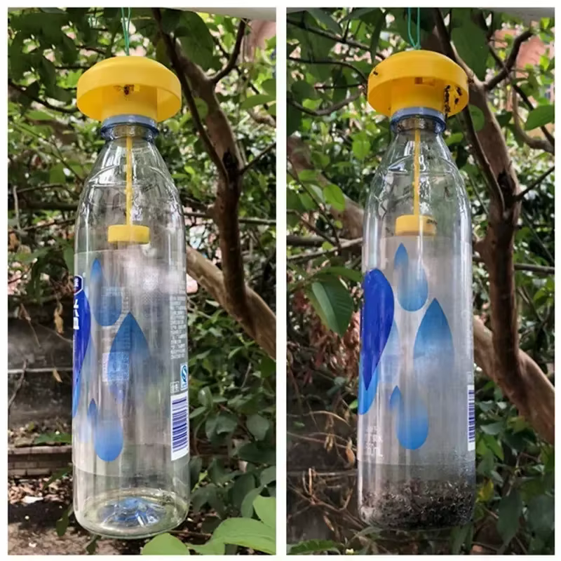 1/2PCS Fruit Killer Plastic Yellow Drosophila Trap Fly Catcher Pest Insect Control For Home Farm 6*6*2Cm — image 4