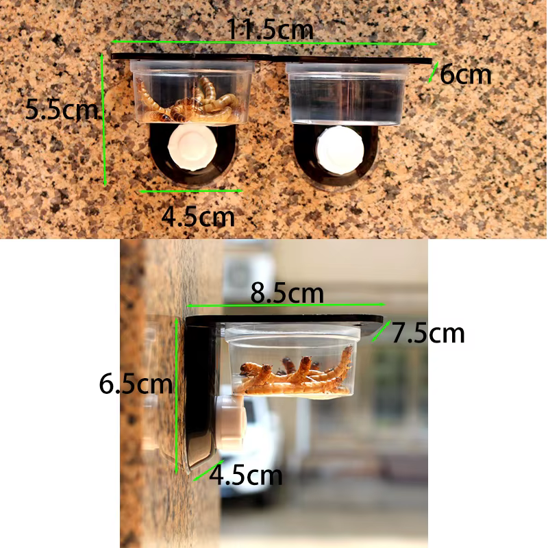 Accesorios para Tanques de Reptiles Comida y Agua para Arañas, Hormigas, Escarabajos, Lagartos, Iguanas, Gecko, Serpientes y Otros Animales — imagen 2