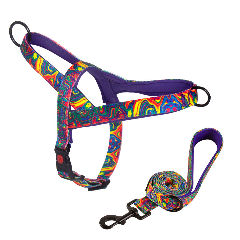 Arnés de Perro con Función Antipulido para Razas Medianas y Grandes, Labradores, Golden Retriever, Correa de Perro, Cadena de Perro — imagen 12