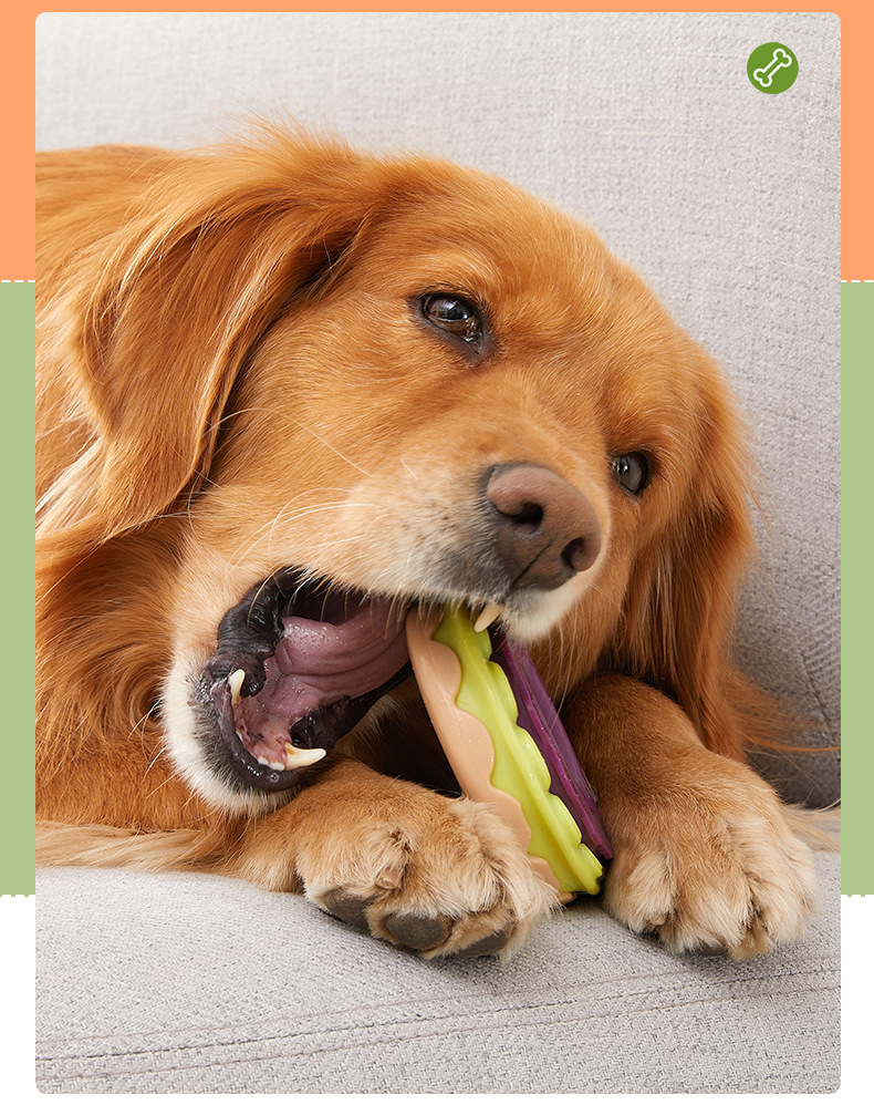 Dog Toy Bite-Resistant Molar Donut Molar Toy Pet Large Dog Toy — image 5