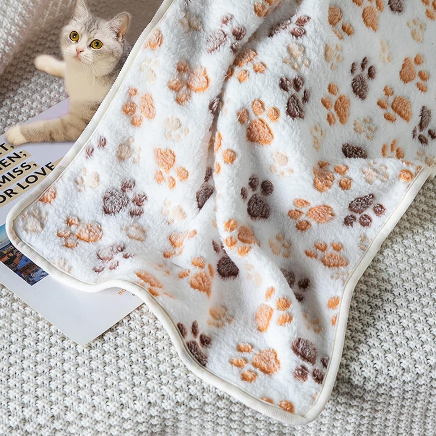 3-piece Set Of Beige Dog Paws — image 2