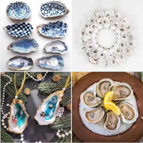 30 Piezas de Conchas de Ostra con Perla al Mayoreo, Conchas Naturales para Manualidades, Arte DIY y Adornos Navideños — imagen 8