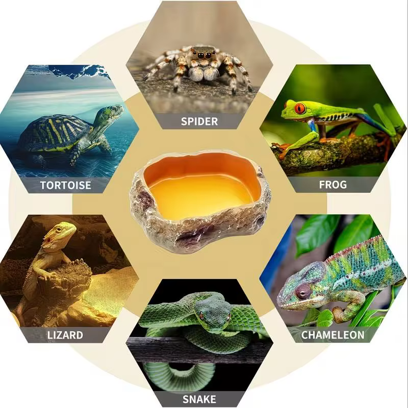 Suitable For Indoor Reptile Landscaping 1-piece Rock-shaped Reptile Water And Food Tray, Leak-proof And Easy To Clean — image 6