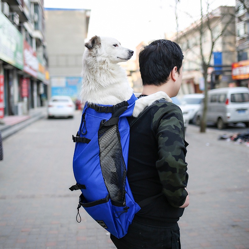 Mochila para Perros Portátil de Viaje con Dos Hombros para Cachorros Pequeños — imagen 8