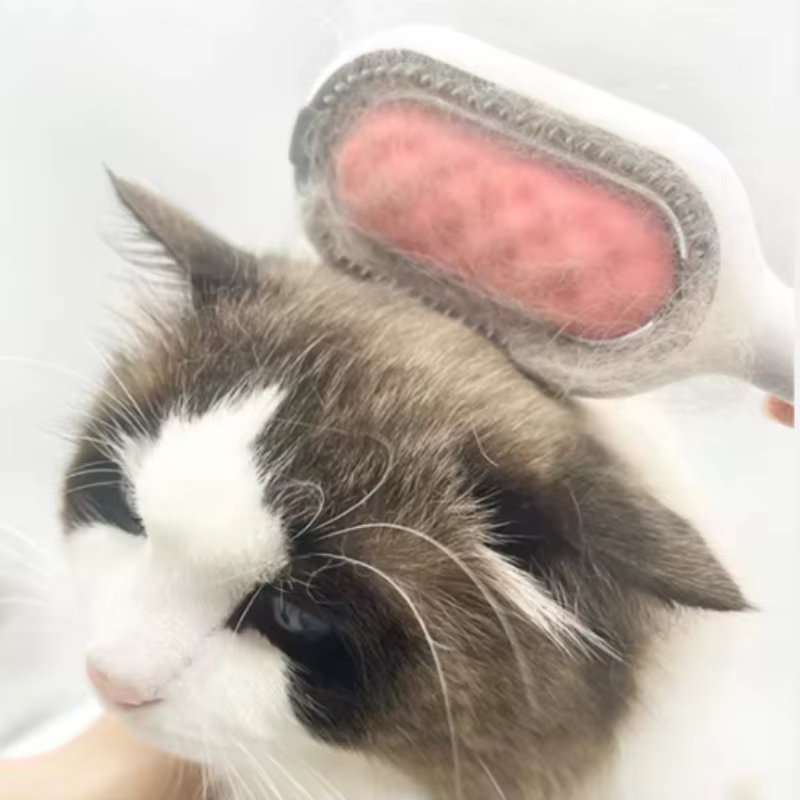 Cepillo de aseo para mascotas, cepillo para gatos de pelo largo, deshilachador de pelo para perros y gatos, con frotador de silicona y tanque de agua, accesorios de productos para mascotas — imagen 3